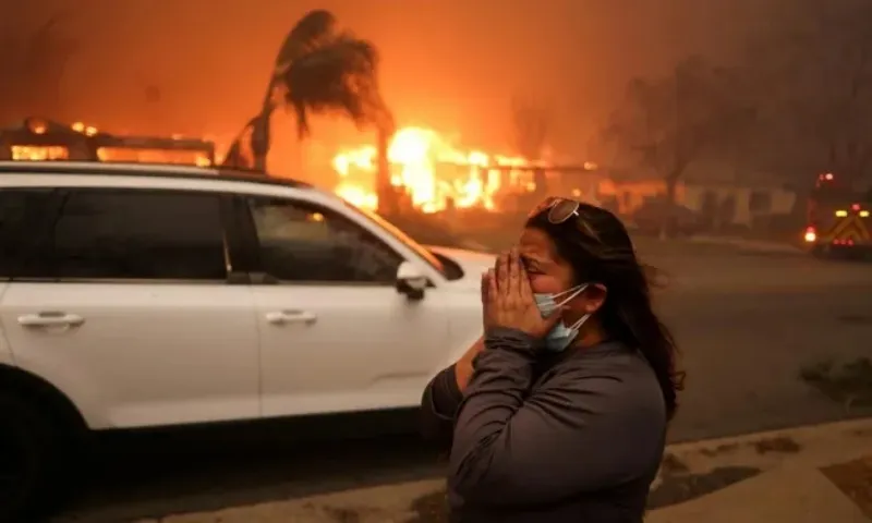 Cháy rừng dữ dội ở California: Đã có thương vong 