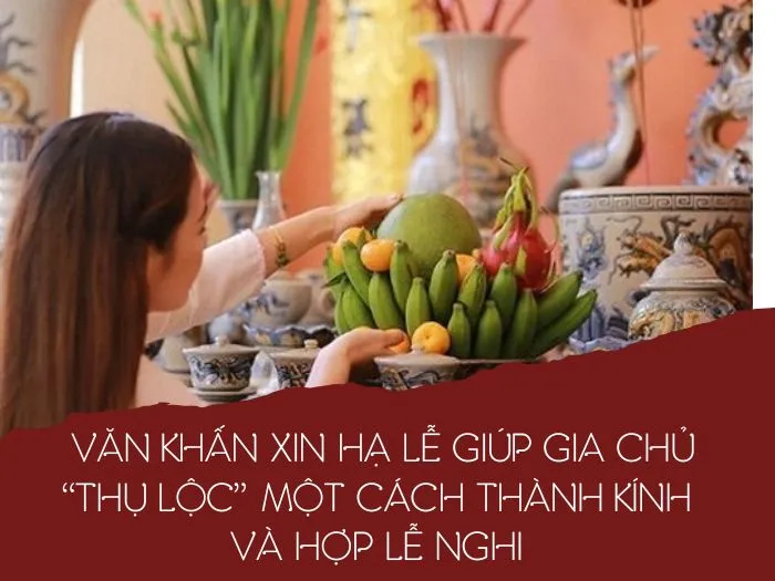 voh-van-khan-xin-ha-le-2