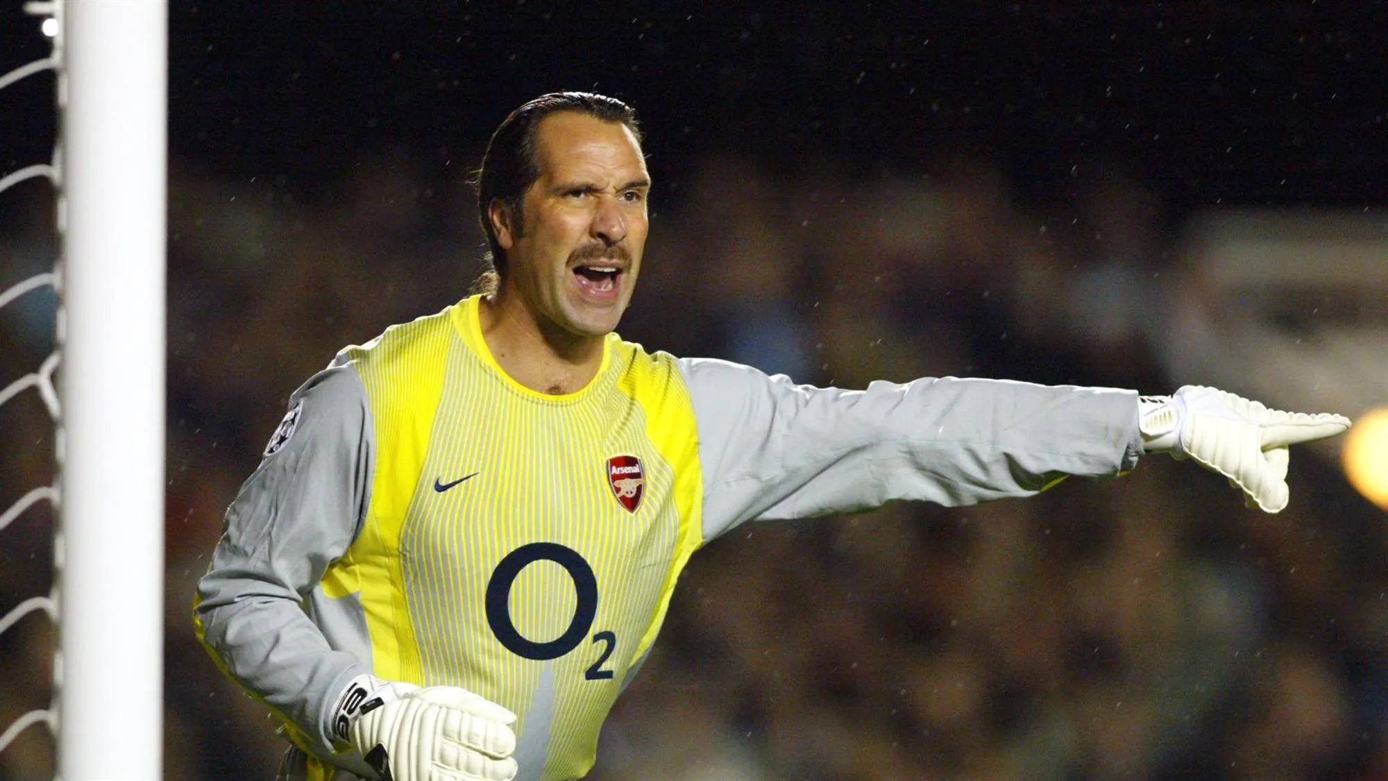 david-seaman-arsenal-goalkeeper-football_3249862