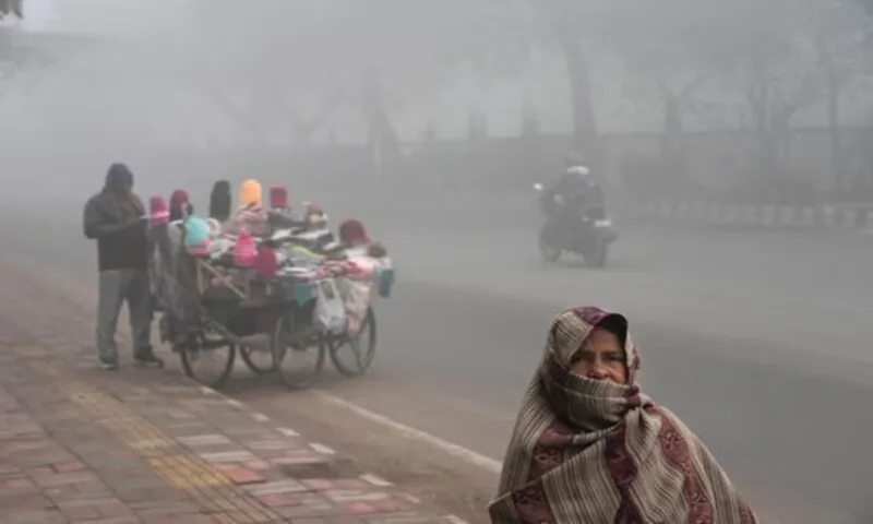 Sương mù dày đặc bao trùm Delhi, làm gián đoạn giao thông và giảm tầm nhìn