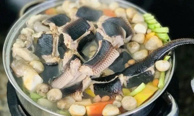 Đột nhập thế giới ẩm thực rắn 