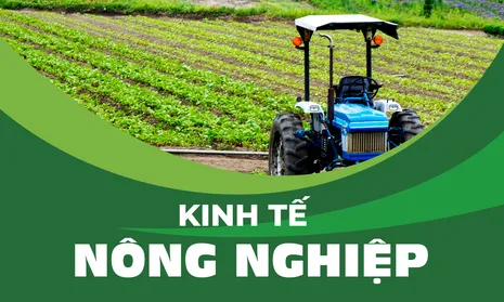 Mỹ chi hơn 6.800 tỉ đồng mua rau quả Việt Nam