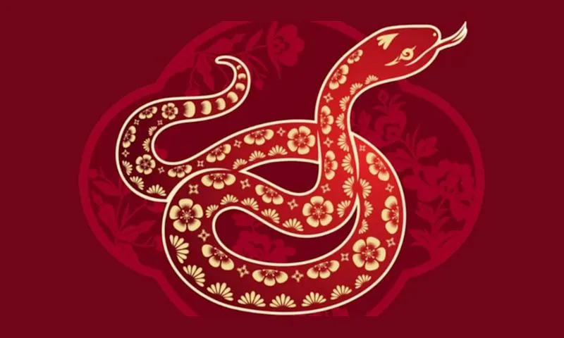 Những con giáp may mắn trong năm Ất Tỵ
