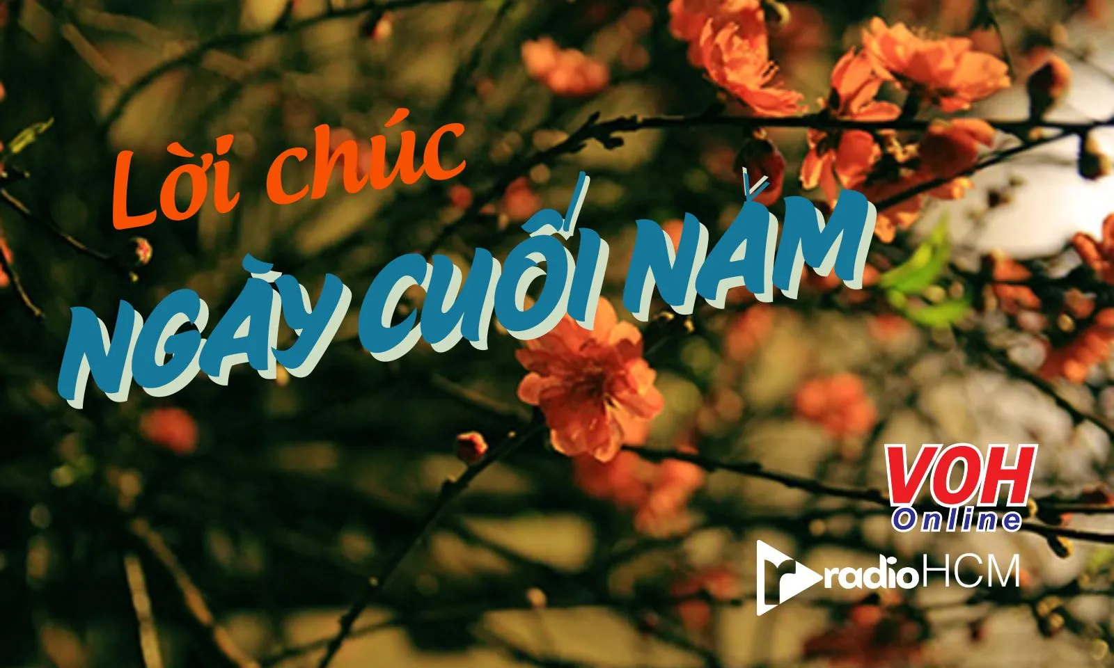 Top 58 lời chúc ngày cuối cùng của năm hay nhất