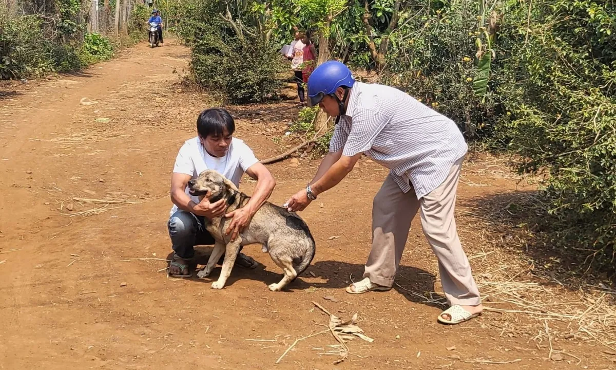 tiêm phòng chó dại