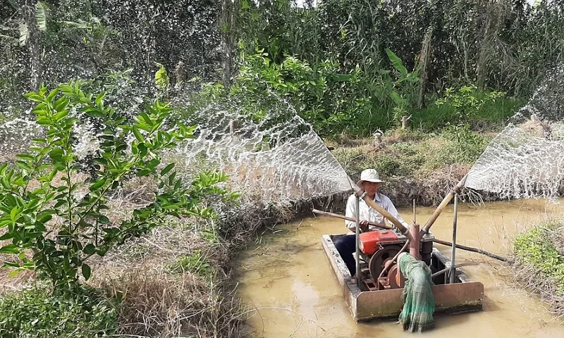 xâm nhập mặn - Ảnh T