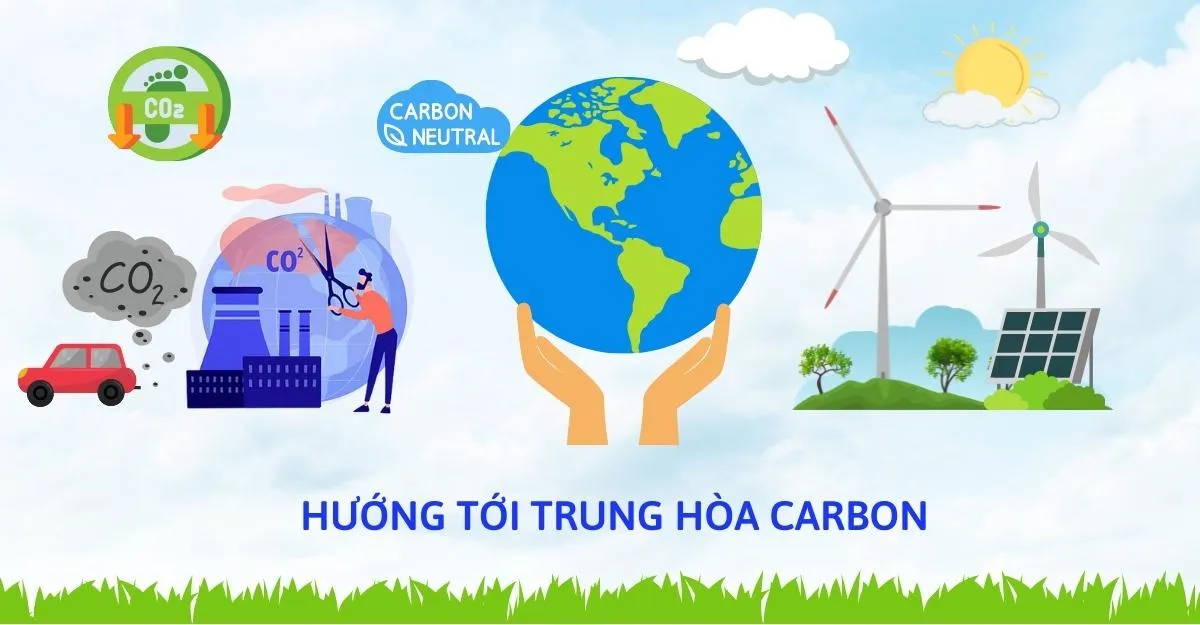 thi-truong-carbon-tang-truong-huong-toi-net-zero-3