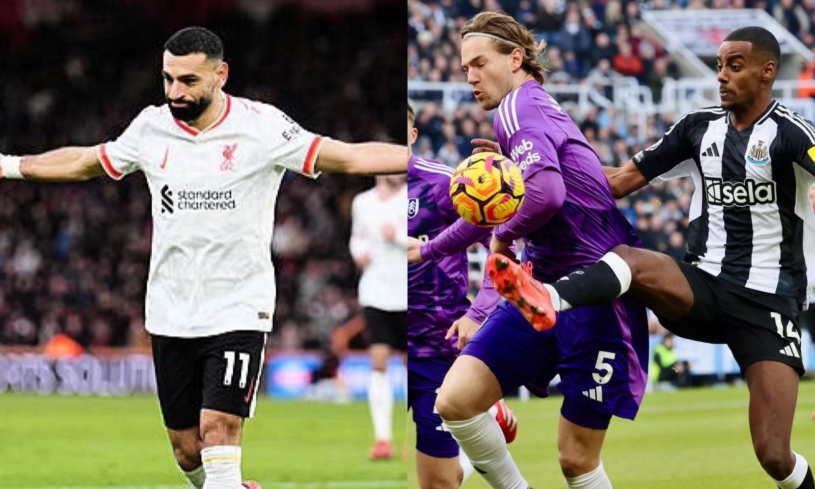 Kết quả Ngoại hạng Anh Vòng 24: Liverpool ghìm cương ngựa ô Bournemouth | Newcastle thua đau
