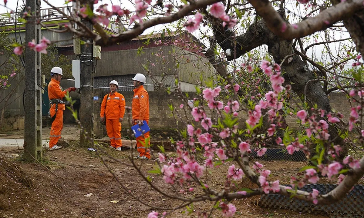 Tiêu thụ điện giảm mạnh trong kỳ nghỉ Tết Nguyên đán
