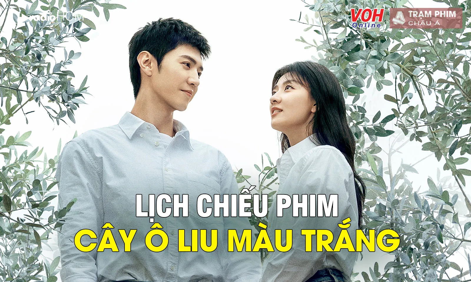 Lịch chiếu phim Cây Ô Liu Màu Trắng của Trần Triết Viễn và Lương Khiết