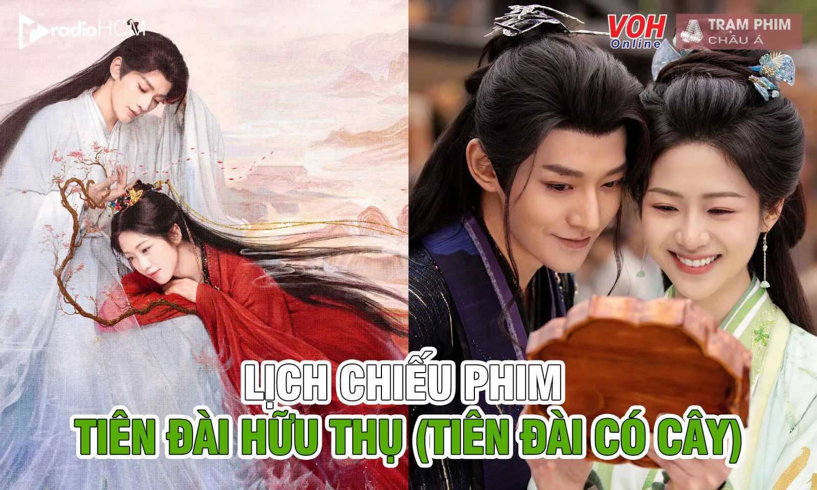 Lịch chiếu phim Tiên Đài Có Cây của Đặng Vi và Hướng Hàm Chi 