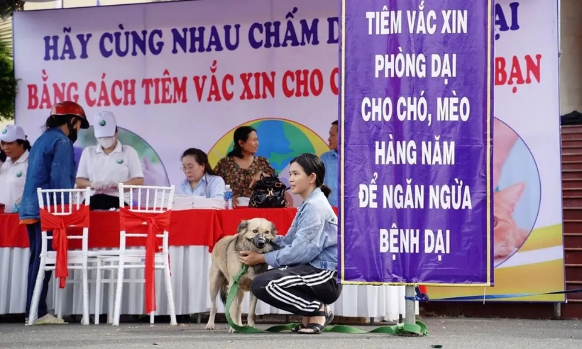 Cảnh báo dịch dại gia tăng
