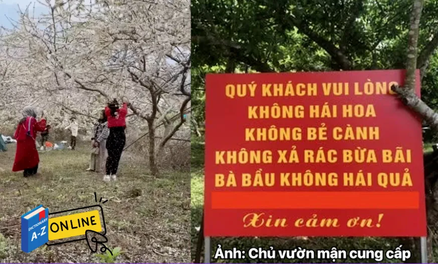 Screenshot 2025-02-10 141244