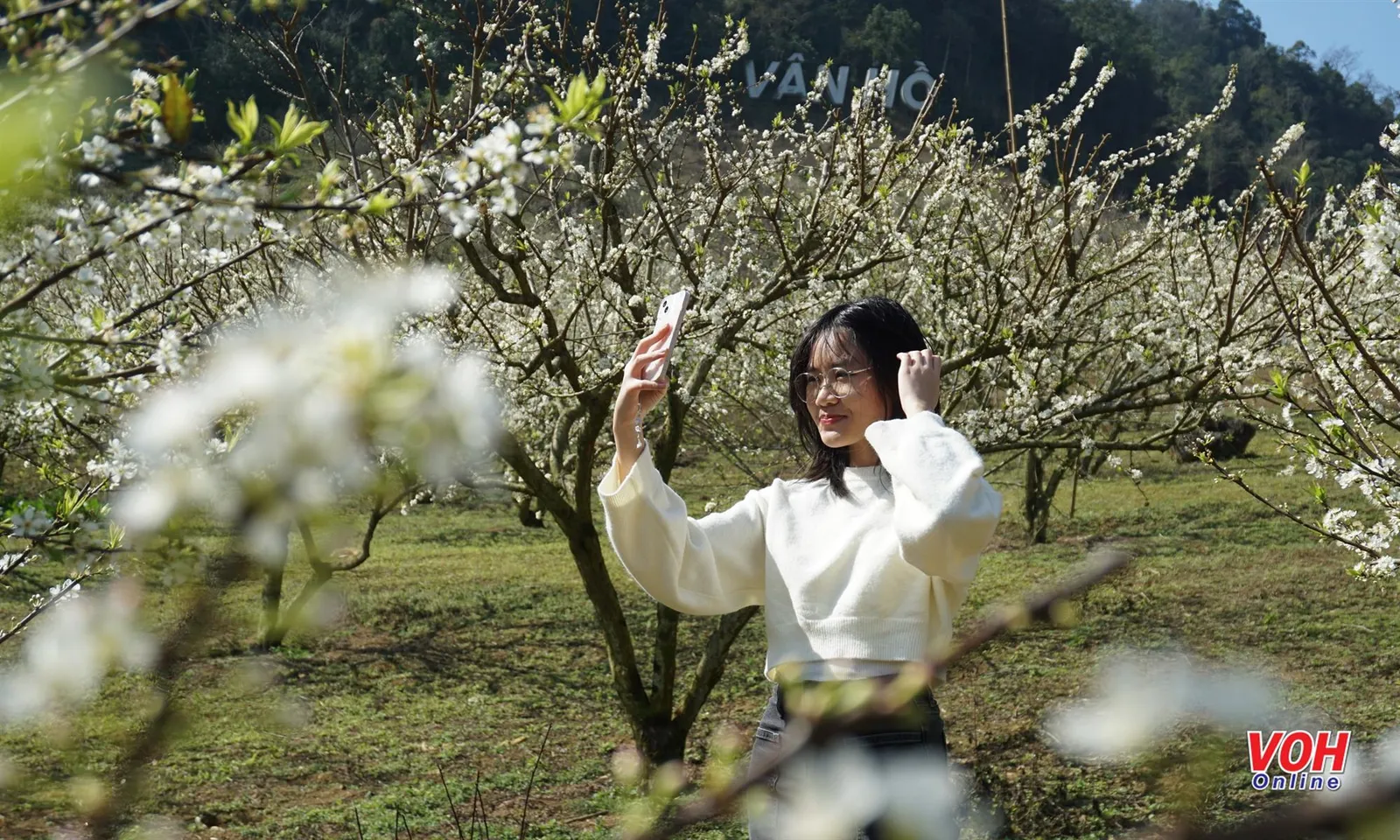 Du khách đổ dồn về Tây Bắc du xuân trong mùa hoa mận đẹp như thơ