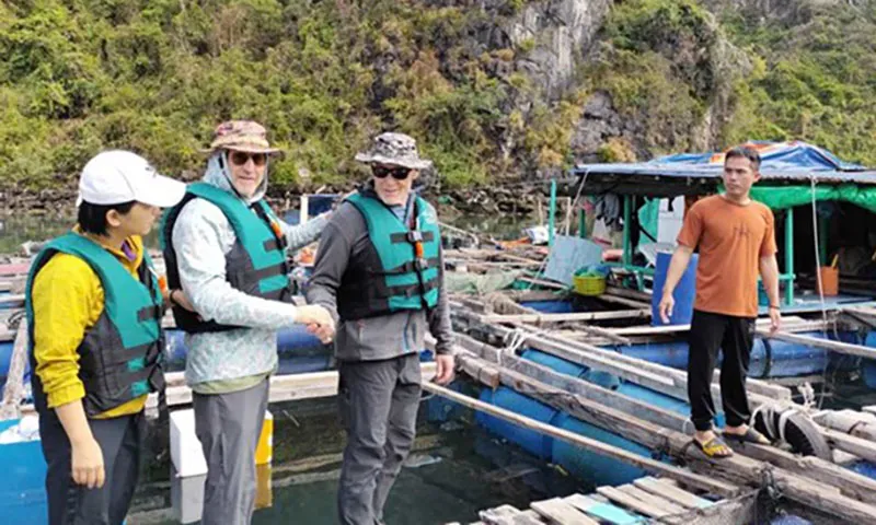 Triệu phú đô la thuê du thuyền đi 3 ngày trên vịnh Hạ Long