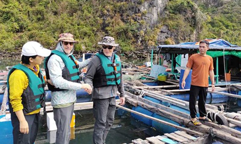 Triệu phú đô la thuê du thuyền đi 3 ngày trên vịnh Hạ Long