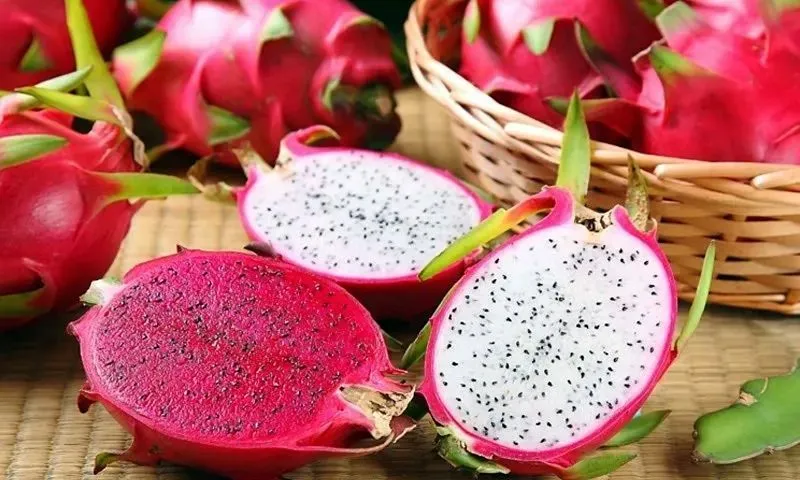 Thanh long – Nữ hoàng trái cây được thế giới săn đón