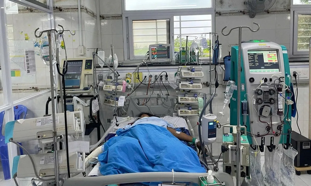 Cảnh báo nguy cơ dịch sốt xuất huyết bùng phát sớm tại TPHCM