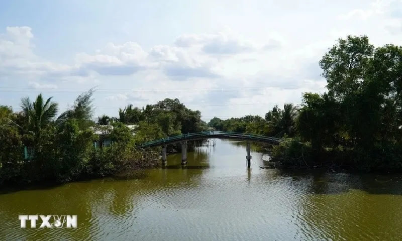 Xâm nhập mặn tại Đồng bằng sông Cửu Long mùa khô 2024-2025 cao hơn trung bình nhiều năm