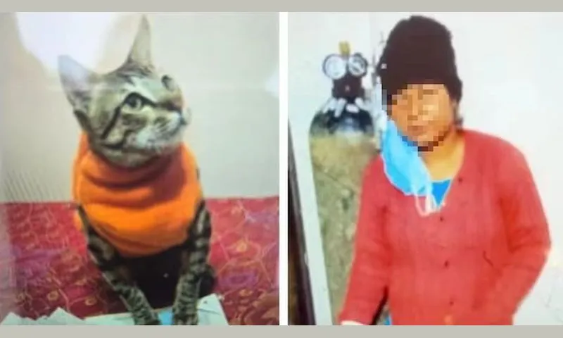 Quá đau buồn vì mèo cưng mất, người phụ nữ 32 tuổi tự tử