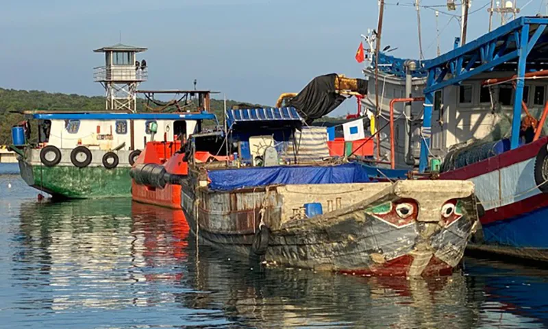 Con tàu không số vận chuyển 10 tấn đường cát lậu bị đưa về cảng tại thành phố Phú Quốc