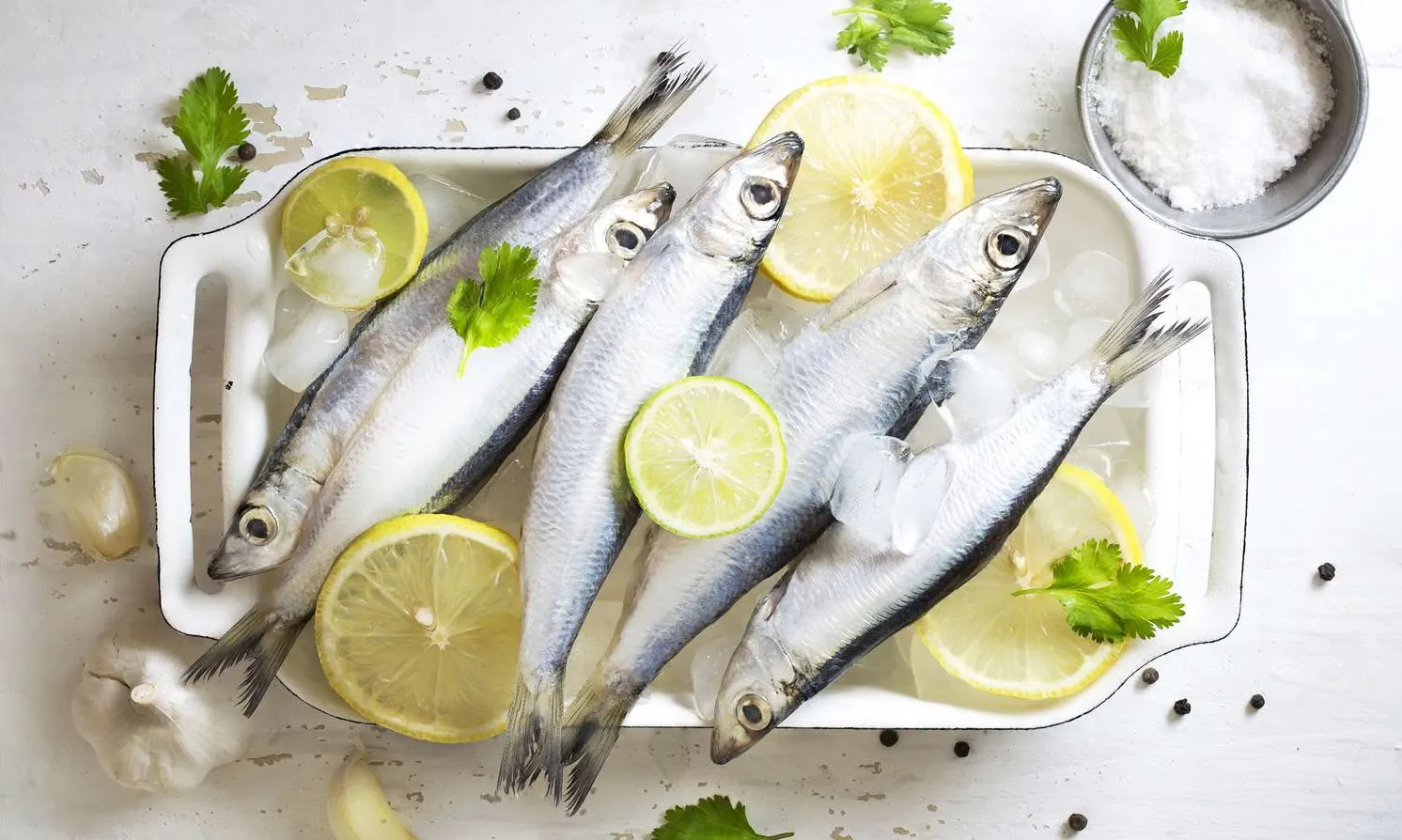 Cá mòi – “Siêu thực phẩm” được Hội Tim mạch Hoa Kỳ khuyến khích