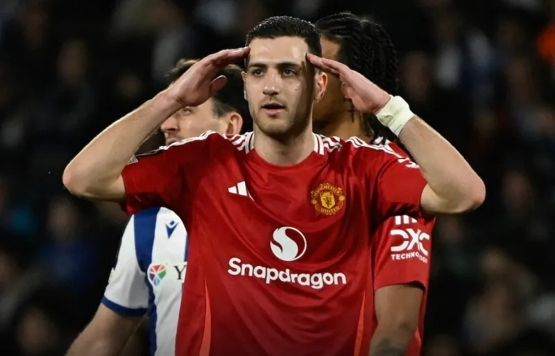 dalot-scholes