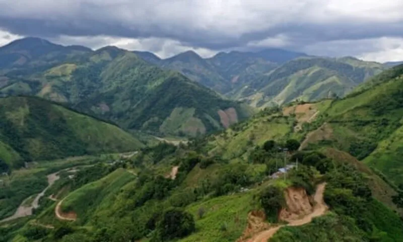 Colombia kêu gọi Liên Hợp Quốc gỡ bỏ lá coca khỏi danh sách các chất gây hại