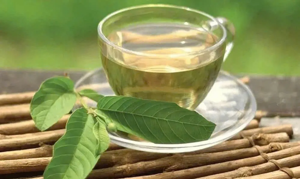 Những công dụng tuyệt vời của nước lá ổi