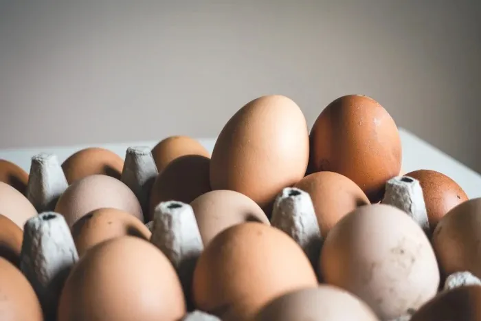 preserving-eggs