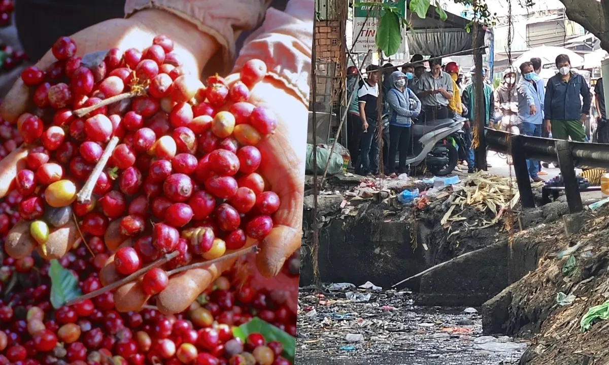 Điểm tin chiều 18/3: Giá cà phê tăng mạnh | Phát hiện thi thể phụ nữ dưới kênh