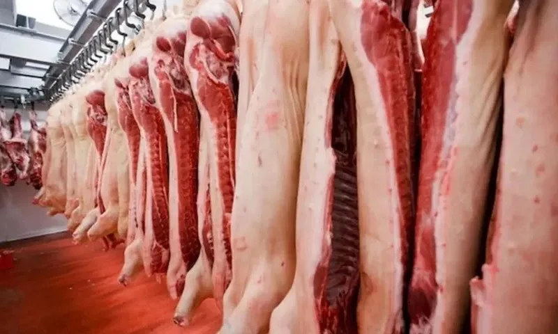 Giá thịt heo hơi tăng cao nhất trong 3 năm