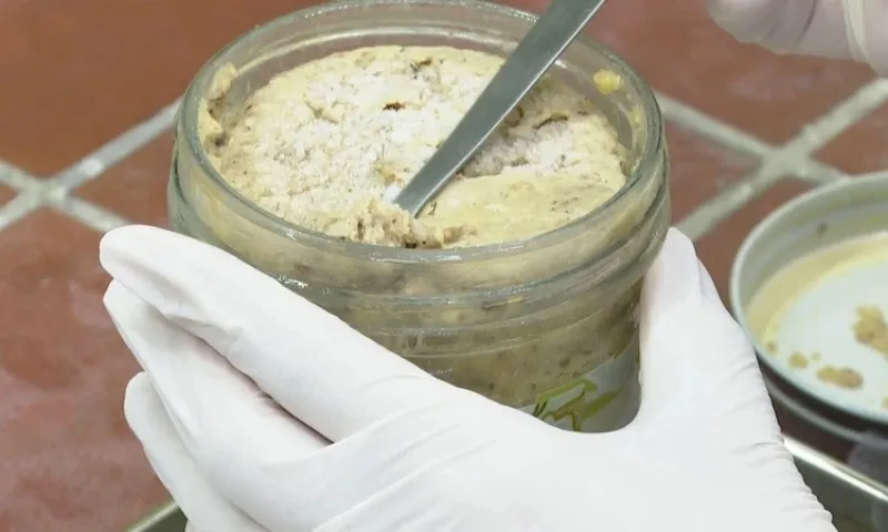 Ăn pate hộp để qua ngày, nam thanh niên liệt tứ chi 