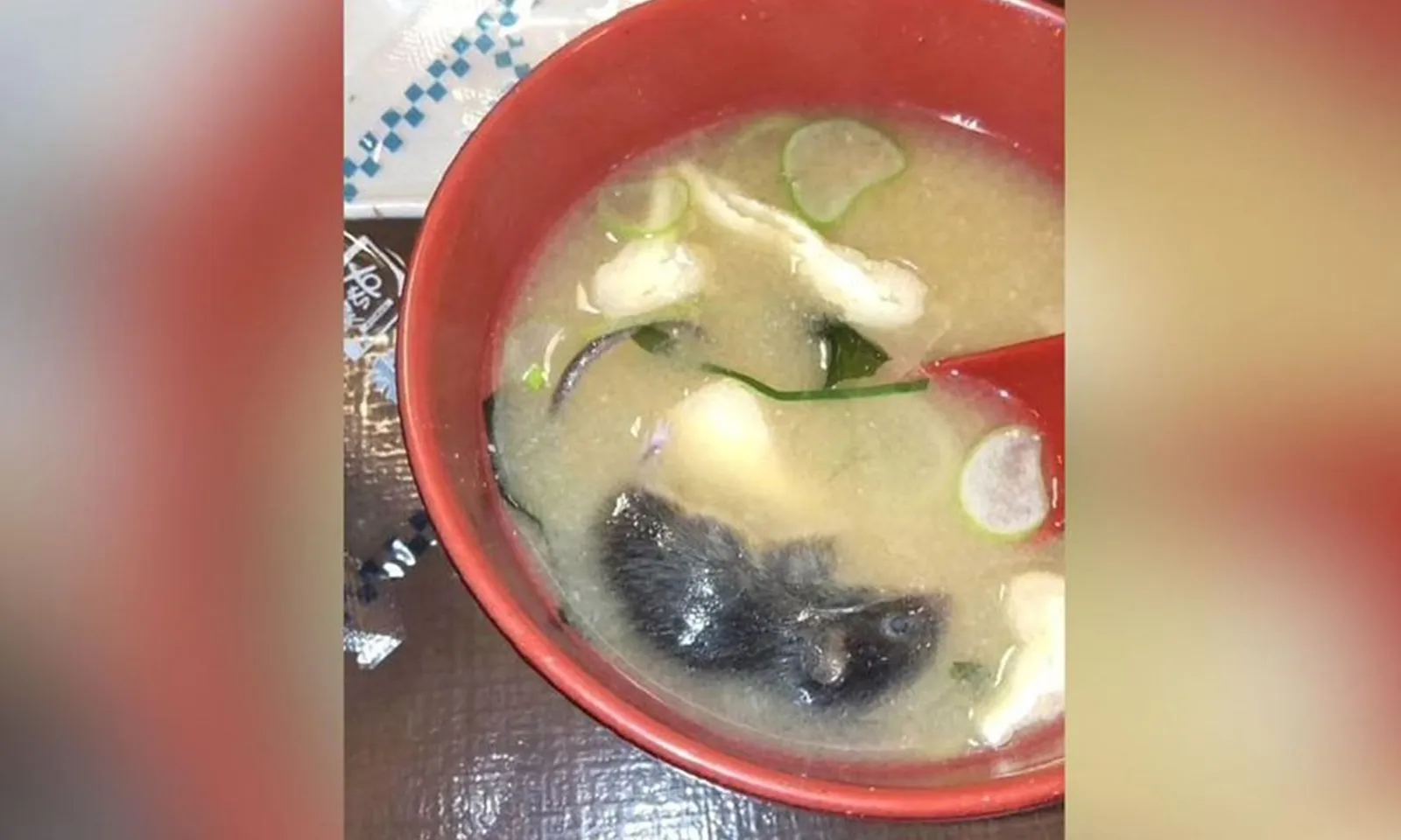 Cổ phiếu chuỗi nhà hàng Nhật Bản giảm mạnh sau vụ phát hiện chuột chết trong súp miso
