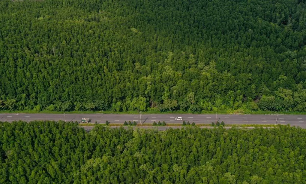 Vingroup đề xuất đầu tư tuyến metro 4 tỷ USD nối quận 7 và Cần Giờ