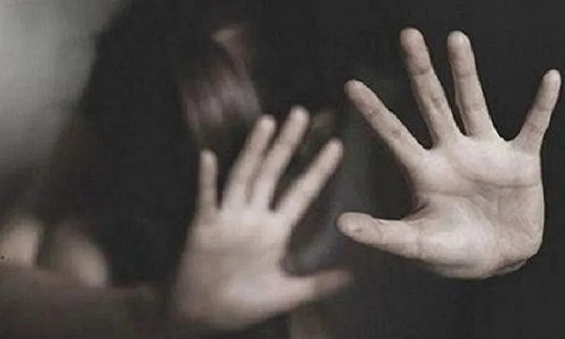 Cha dượng hiếp dâm con riêng của vợ khiến cháu bé mang thai ở tuổi 12