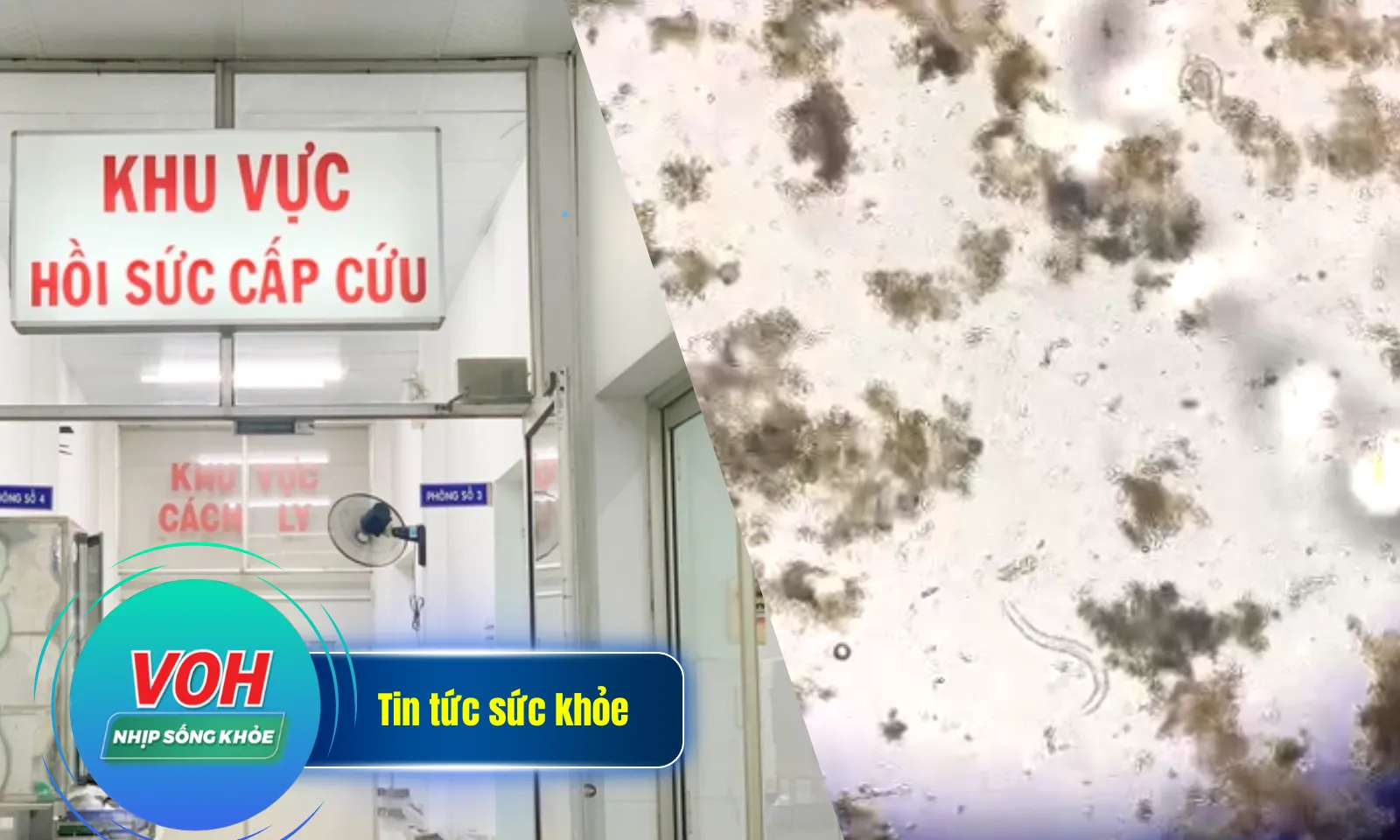Nhịp sống khỏe 1/4: Ngộ độc methanol sau uống rượu trái cây | Nguy cơ tử vong cao do nhiễm giun lươn