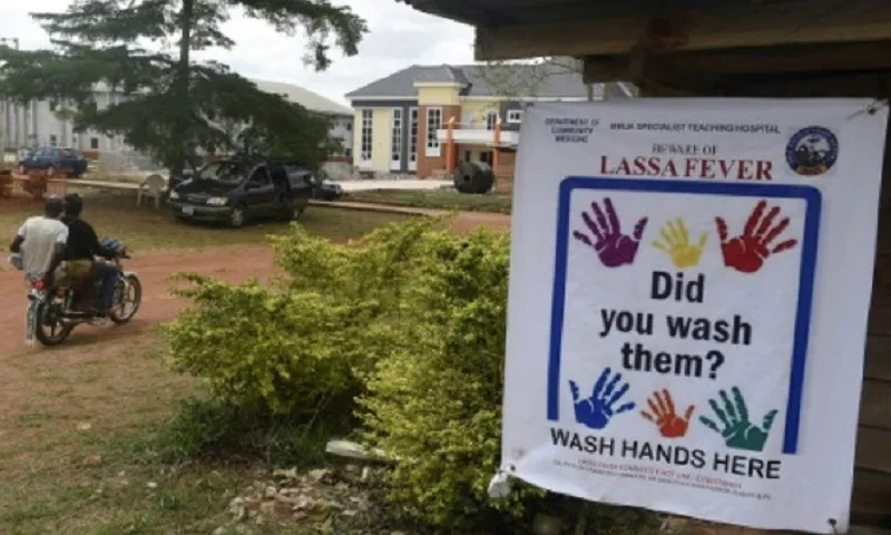 sốt lassca nigieria