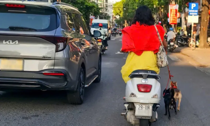 Đã tìm ra người phụ nữ đi xe máy không mũ bảo hiểm, kéo theo 2 con chó kiểng