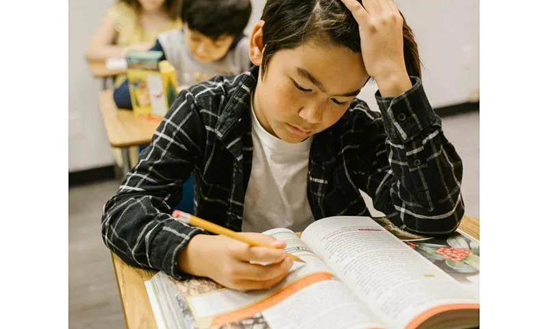 Áp lực học hành đè nặng trẻ em ở phố nhà giàu” của Hàn Quốc