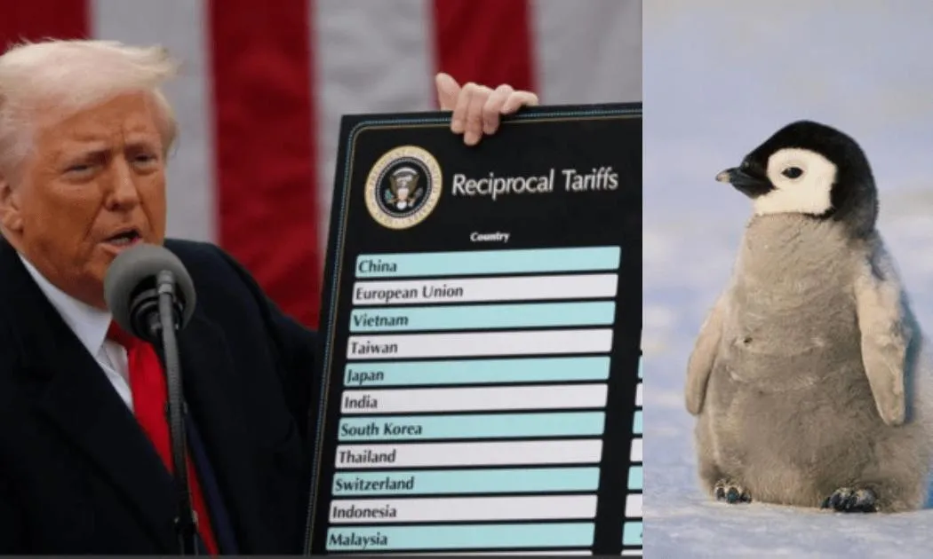 Mỹ giải thích lý do áp thuế lên quần đảo chỉ có chim cánh cụt