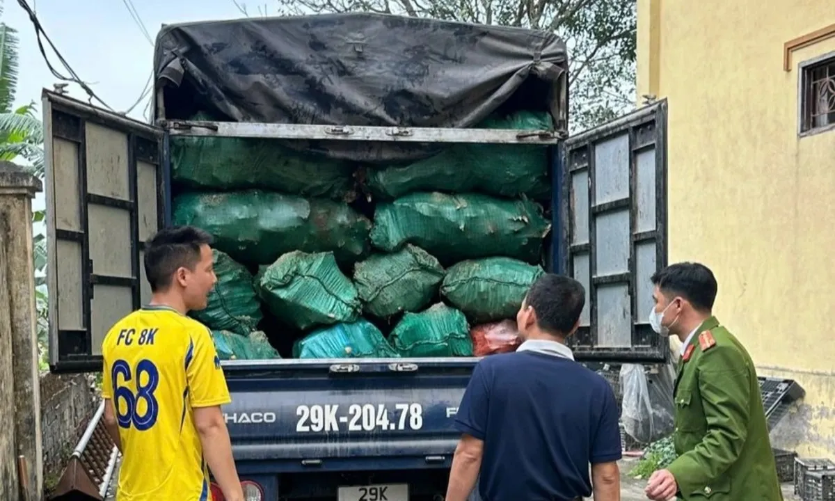Phát hiện xe tải chở 2,5 tấn xương động vật đang phân hủy không rõ nguồn gốc