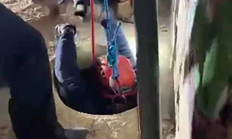 Chú chó con sống sót sau cú rơi từ độ cao 30 mét xuống một hầm chứa
