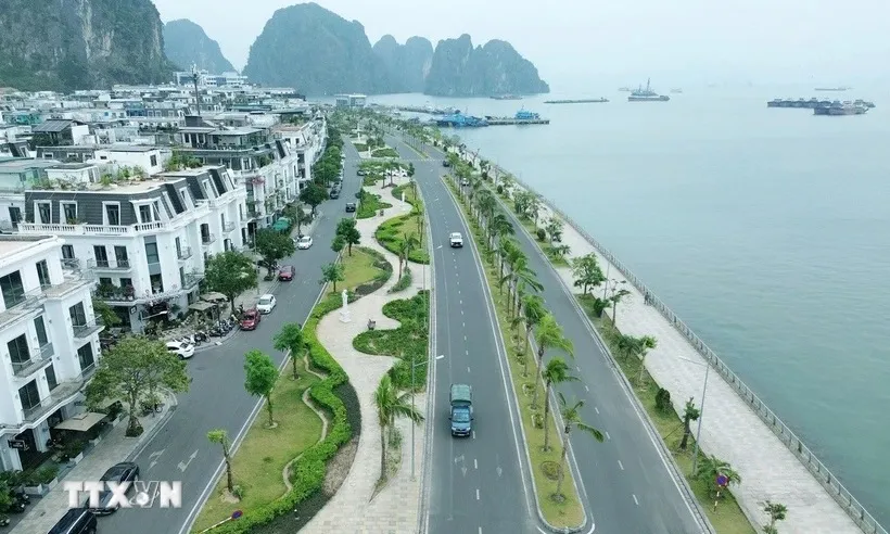 Xác minh vụ du khách tố lái xe điện ở Hạ Long chặt chém, có lời lẽ đe dọa