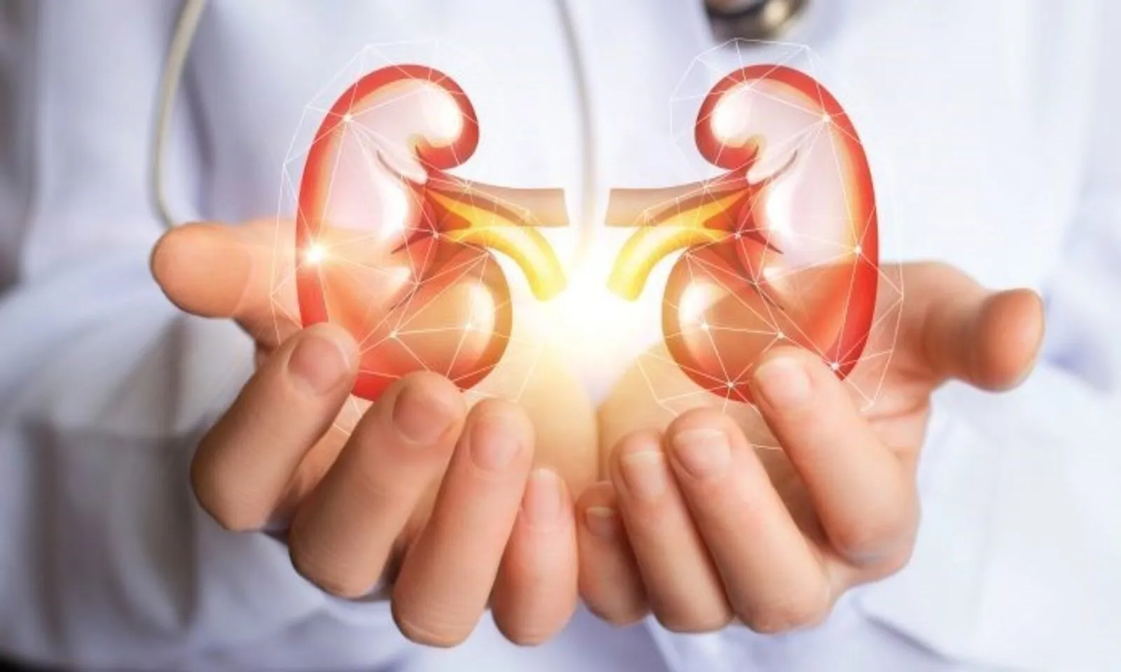 Những thực phẩm người bệnh thận nên tránh