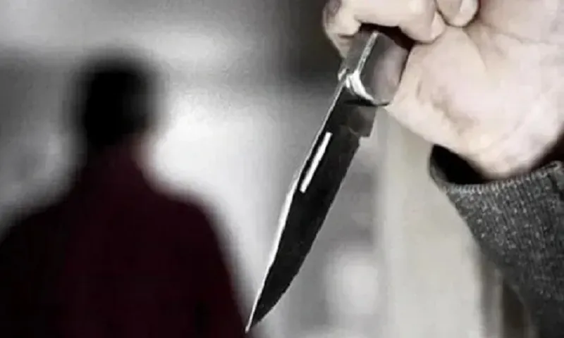 vợ dùng dao đâm chồng