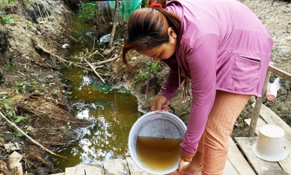 Cà Mau “khát nước”: 14.000 hộ dân gặp khó