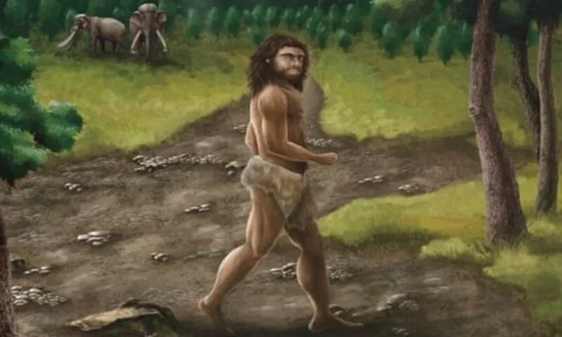 Hóa thạch dưới đáy biển hé lộ bí ẩn người Denisovan cổ đại