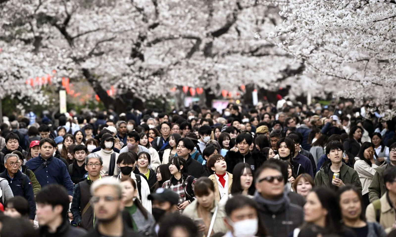 Dân số Nhật Bản giảm kỷ lục 898.000 người trong vòng một năm