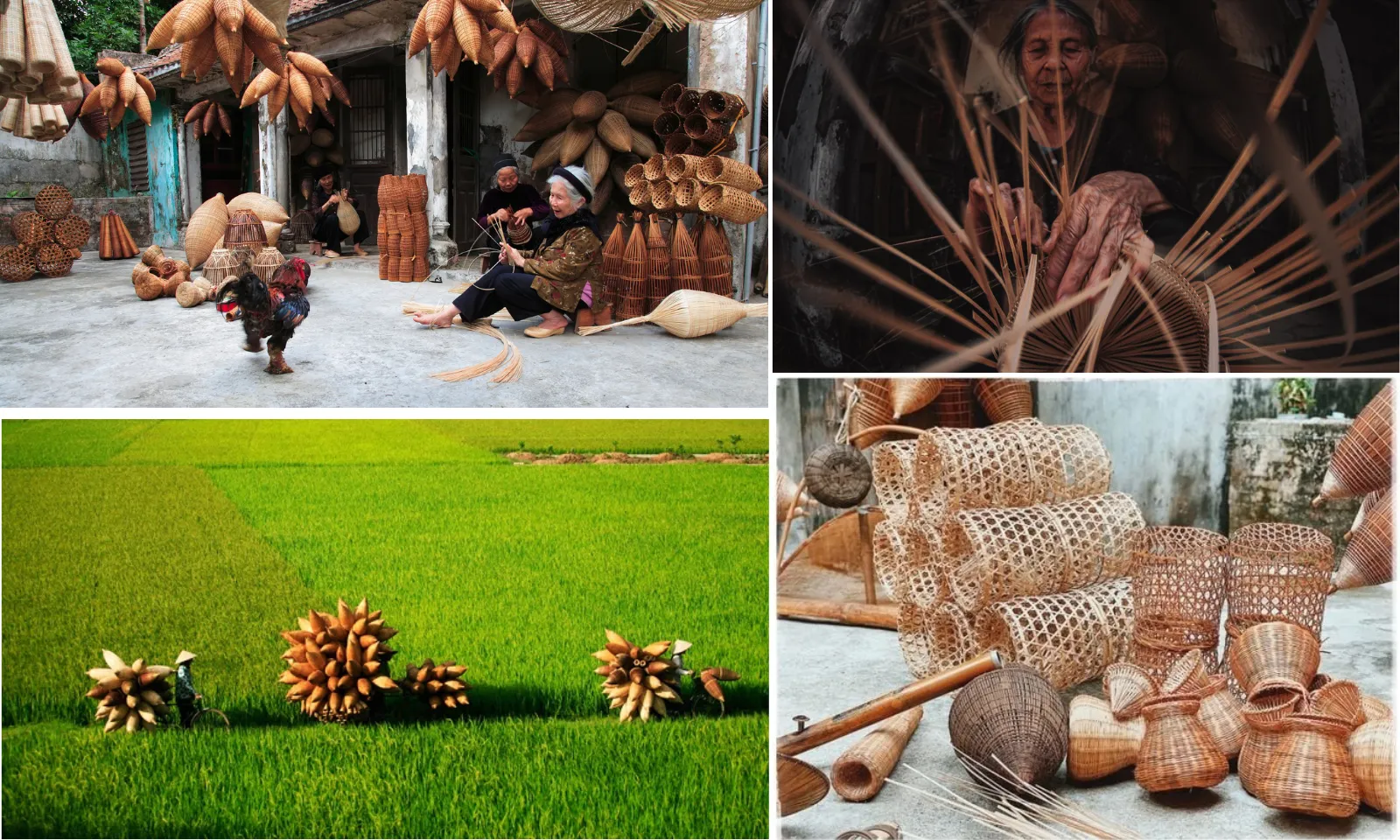 Việt Nam kỳ thú: Nghề đan đó – Lặng thầm gìn giữ hồn sông nước Việt